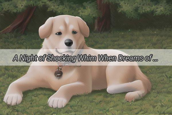 A Night of Shocking Whim When Dreams of a Dogs Embarrassing Accidents Unleash a World of Subtle Messages